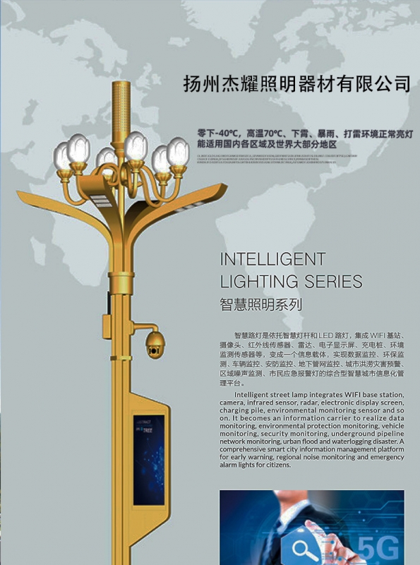 批發(fā)大型led玉蘭燈 戶外廣場市政工程道路景觀燈 八叉九火玉 蘭燈